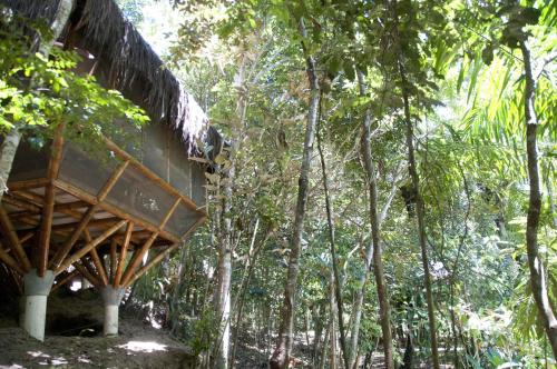 a tree house in the middle of the forest at Universo Pol Bamboo Hostel in Morro de São Paulo