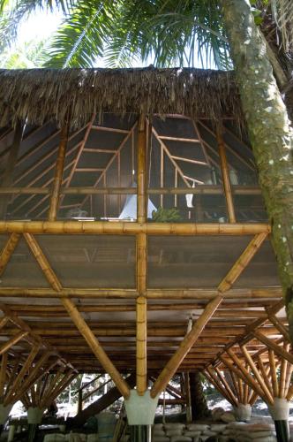 a thatched roof of a building with a palm tree at Universo Pol Bamboo Hostel in Morro de São Paulo