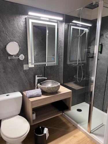 a bathroom with a toilet and a sink and a shower at Résidence thermale La Chaldette in Brion