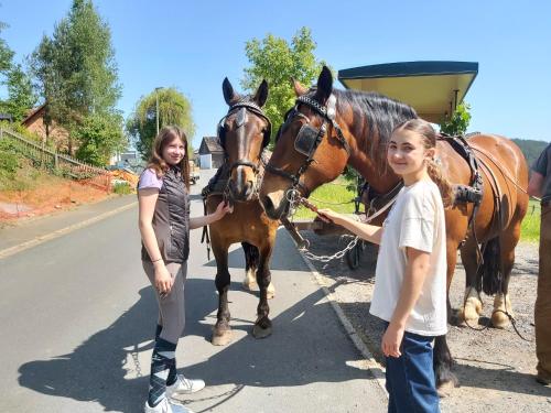 two girls are standing next to a horse at Glamping-Paradies am Dengler Hof in Hohenberg an der Eger