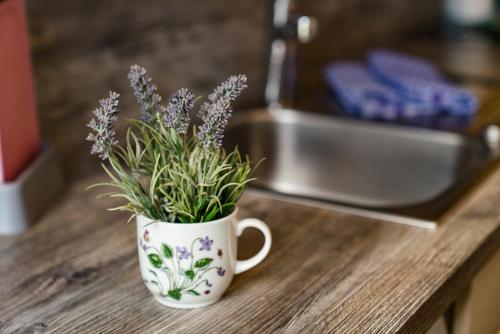 a cup with lavender in it sitting on a counter at Easyapartments Leo in Linz