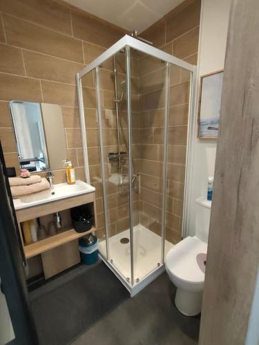 a bathroom with a shower and a toilet and a sink at Sublime Studio proche du lac avec parking privé in Viviers-du-Lac