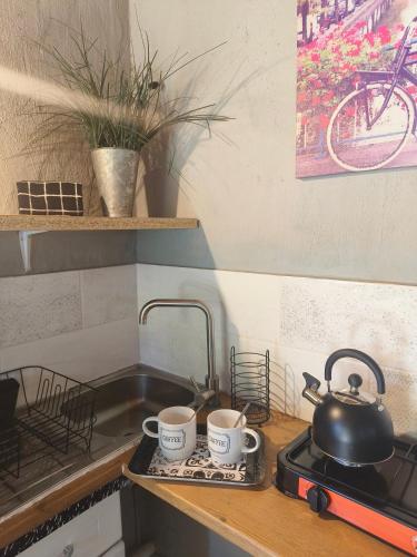 a kitchen sink with two coffee mugs on a coaster at Shangrila-innibos Country Lodge in Hartbeespoort