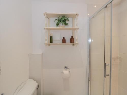 a white bathroom with a shower and a toilet at The Croft Retreat in Bridgwater