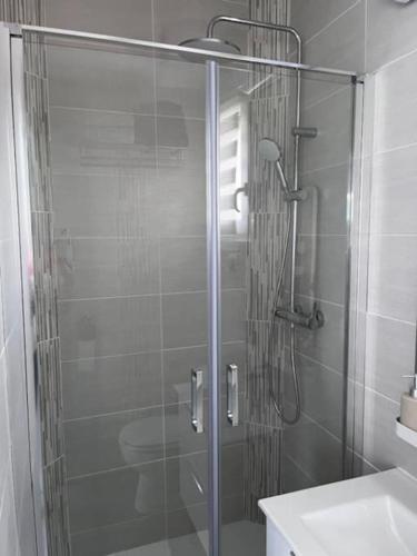 een douche met een glazen deur in de badkamer bij Ma chaumière santenoise in Santeny