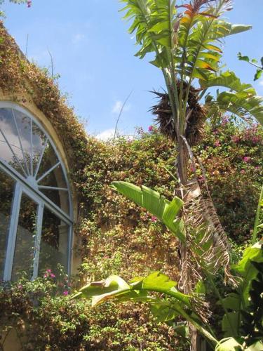 Jardin de l'établissement Bebbux Farmhouse
