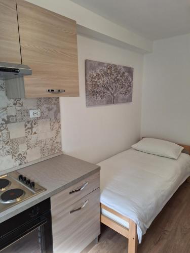 Cvita studio apartment