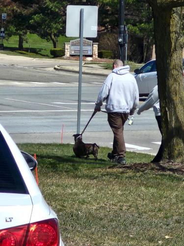 a man walking a dog on a leash at 18+ in Ann Arbor