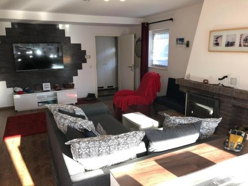 布特亚丁根E3 Haus mit Wintergarten, Kamin und Deichblick的带沙发和壁炉的客厅