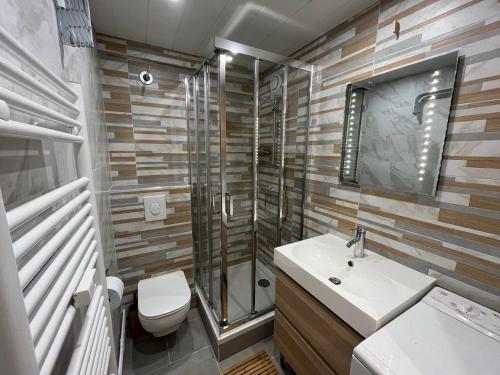 a bathroom with a shower and a sink and a toilet at Studio Les Gets, 1 pièce, 4 personnes - FR-1-623-214 in Les Gets