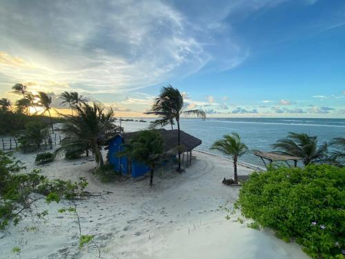 una playa de arena con palmeras y el océano en Cabana Chic, en Tatajuba