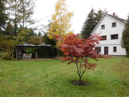een kleine boom in de tuin van een huis bij Ferienwohnung in Leuenberg mit Garten und Grill in Werneuchen