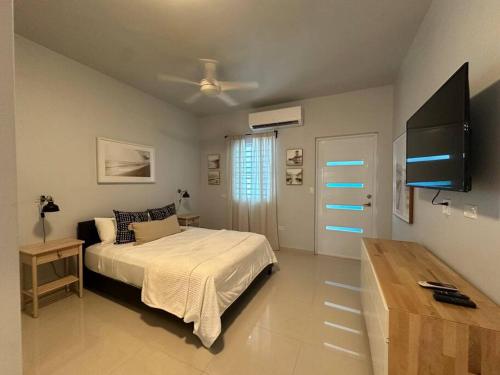 um quarto com uma cama e uma televisão de ecrã plano em C&C Studio em San Juan
