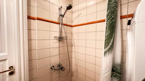 a bathroom with a shower with a shower head at Studio O1 - Carolinas apartments in Copenhagen