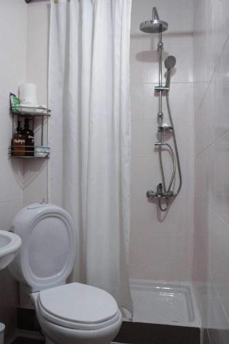 a bathroom with a white shower curtain and a toilet at Lucato apartment in Florina