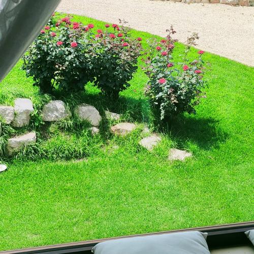 a garden with flowers and rocks in the grass at Il Rifugio della Quiete in Scicli