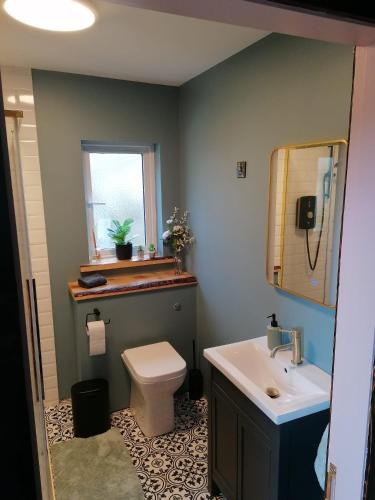 a bathroom with a toilet and a sink and a mirror at Westbrook Cabin in Buncrana