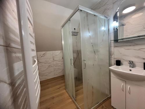 een badkamer met een douche en een wastafel bij Apartamenty Na Rozstaju in Kluszkowce