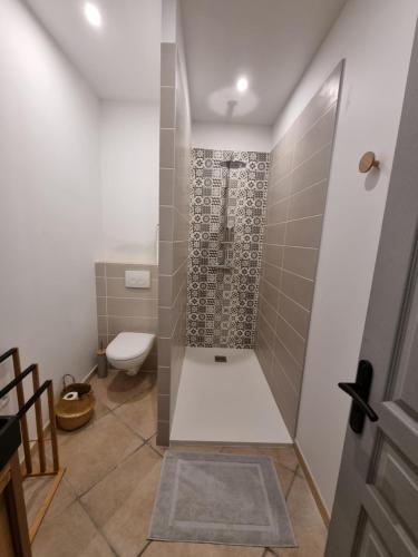 a bathroom with a shower and a toilet at Authentique Mas provençal entre mer et Camargue in Marsillargues