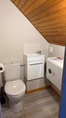 uma casa de banho com um WC e um lavatório em Studio luchon em Luchon