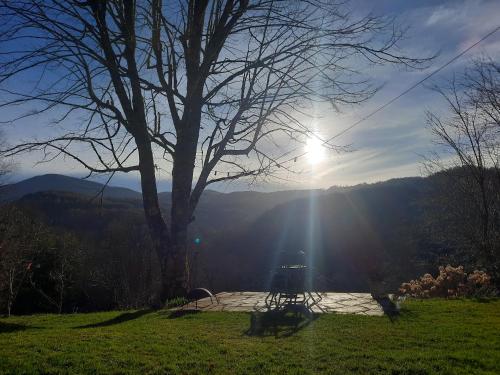 a sun shining through a tree in a field at Biert La Coume in Biert
