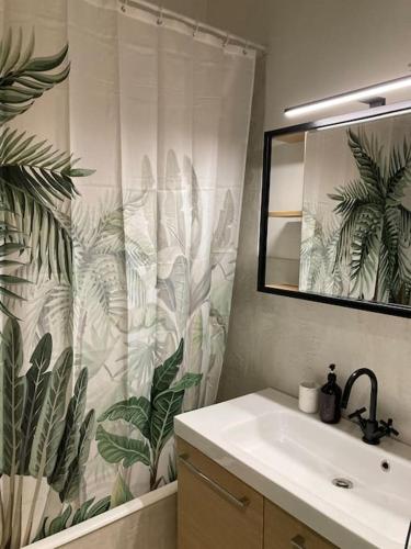 une salle de bain avec un lavabo et un rideau de douche dans l'établissement Beau studio duplex plein centre, à Aix-en-Provence