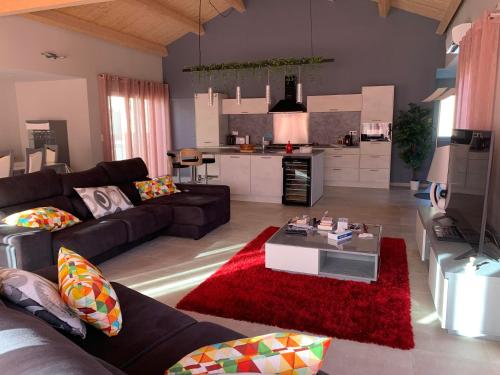 - un salon avec un canapé noir et un tapis rouge dans l'établissement VILLA A LA RIVIERE, à Saint-Jean-du-Bruel