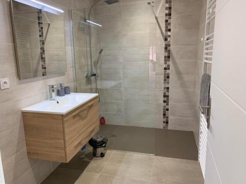 une salle de bain avec un lavabo et une douche dans l'établissement VILLA A LA RIVIERE, à Saint-Jean-du-Bruel
