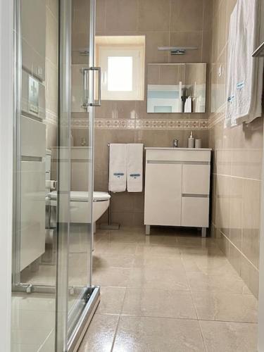 a bathroom with a shower and a sink and a toilet at Casa Santa Rita in Alcobaça