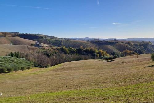 a green field with trees in the distance at Sweet Home Offida in San Giovanni in Strada