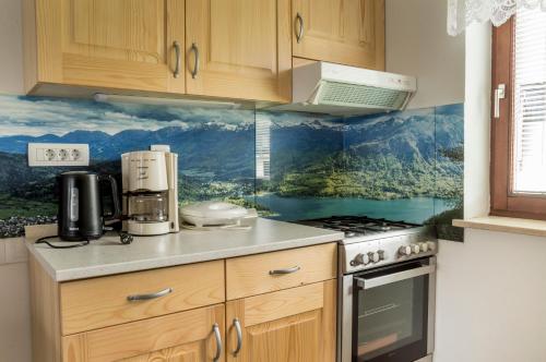 Cuina o zona de cuina de Apartments Štros