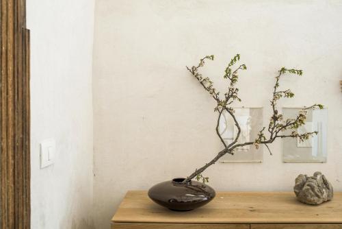 a plant in a vase sitting on a table at Casa Balat in Noto