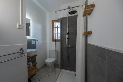 ein Bad mit einer Dusche und einem WC in der Unterkunft Le Mas des Vigne - Vue exceptionnelle - Forêt in Uvernet