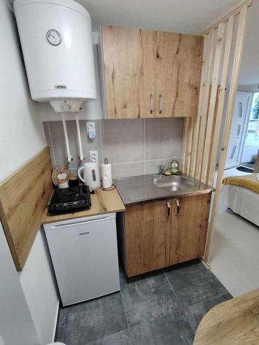 a small kitchen with wooden cabinets and a sink at AGAPE in Leskovac