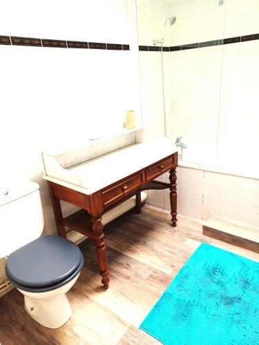 une salle de bain avec un lavabo, des toilettes et une douche dans l'établissement L'échoppe sur la place, à Bordeaux