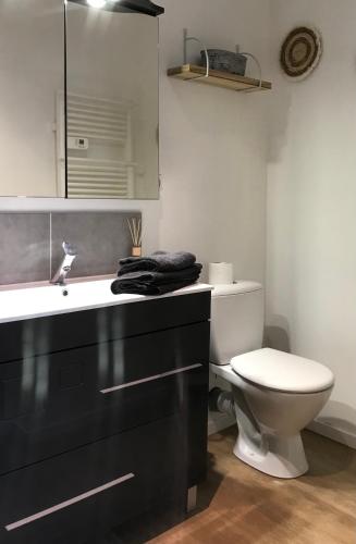 une salle de bain avec toilettes et lavabo dans l'établissement Studio cosy Beauvais, à Beauvais