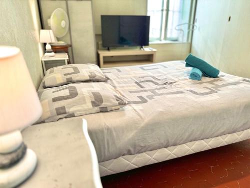 Cette chambre comprend un grand lit et une télévision. dans l'établissement Maison Confort & Silence, Jardin & Barbecue, à Marseille