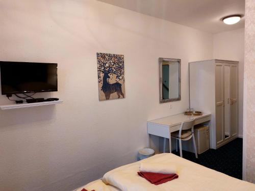 TV a/nebo společenská místnost v ubytování Hotel Jeleň