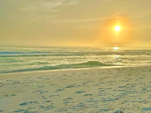 Ocean Mist photo 25