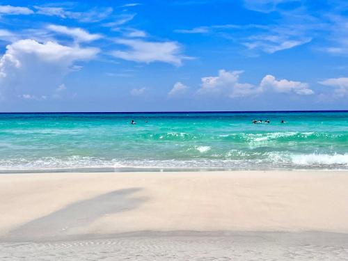 Ocean Mist photo 29