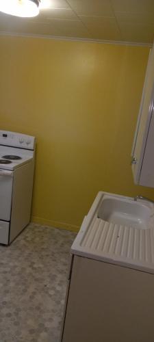 a kitchen with a stove and a white sink at Convenient with a view of downtown in Calumet
