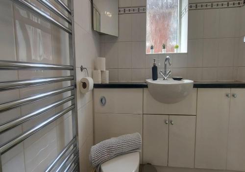 a bathroom with a toilet and a sink at Coventry 59 Michaelmas Pet Friendly 2 Bedroom Apt with Parking in Parkside
