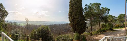 a path in a forest with a tree at Casa Rita, Charming House with pool, Asti in Asti
