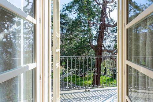 a window with a view of a tree at Casa Rita, Charming House with pool, Asti in Asti