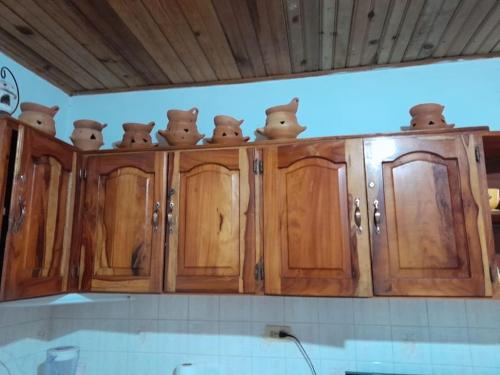 a group of teddy bears sitting on top of wooden cabinets at Beautiful House in front of the beach at Masca, Omoa in Omoa