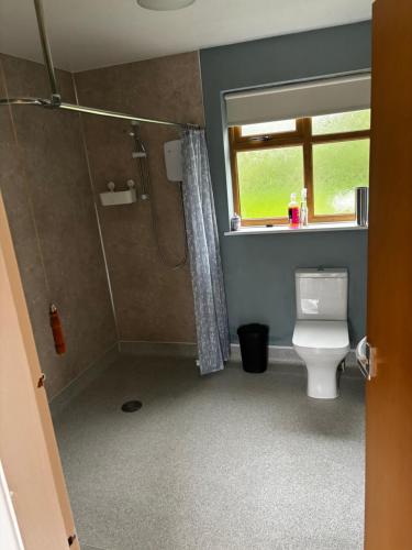 a bathroom with a shower and a toilet and a window at Meaburns in Doncaster