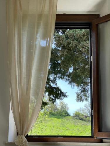 Fotografie z fotogalerie ubytování Podere Casagrande v destinaci Roccalbegna