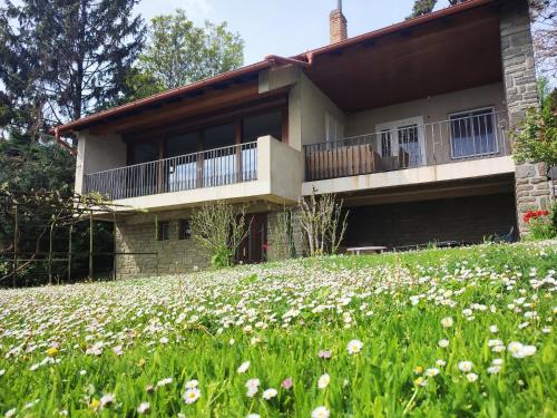 a house with a field of flowers in front of it at Dorka Villa in Tihany