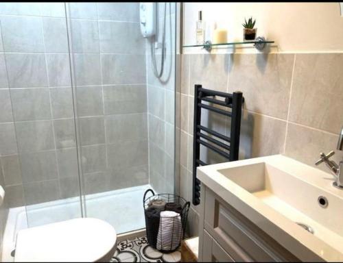 a bathroom with a shower and a sink and a toilet at Pen-Y-Bryn Cottage in Blaenau-Ffestiniog