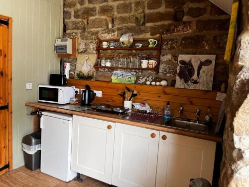 a kitchen with a counter with a microwave and a sink at Shepherd's Hut Bilsdale in Chop Gate